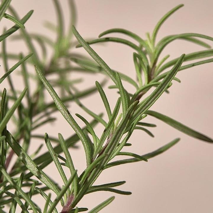 Image du produit Kaine Gel nettoyant au romarin Relief (Gel nettoyant, 150 ml)