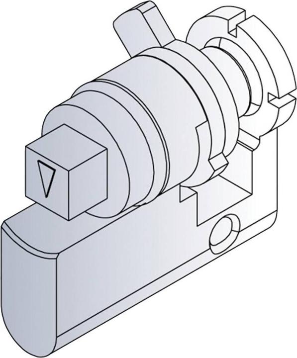 Actual product image Schroff Novastar square spindle lock insert key 60114-365 sep. best