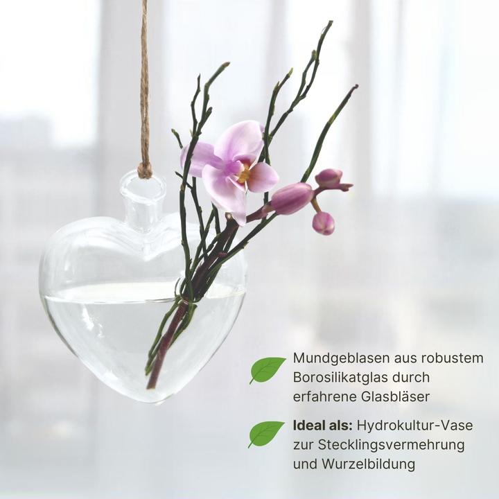 Produktbild Hermex Hängende Glasvase (1 x, 11.5 x 4.5 x 10 cm)