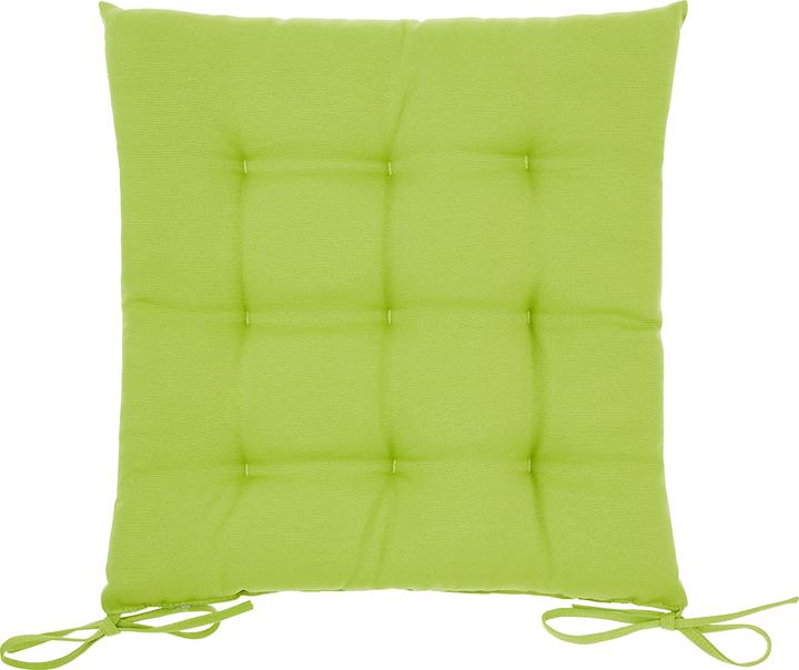 Image du produit Lipo Coussin de siège (40 x 40 cm)