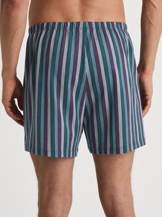 Image du produit Calida Prints Boxershorts (M, Une unité par pack)