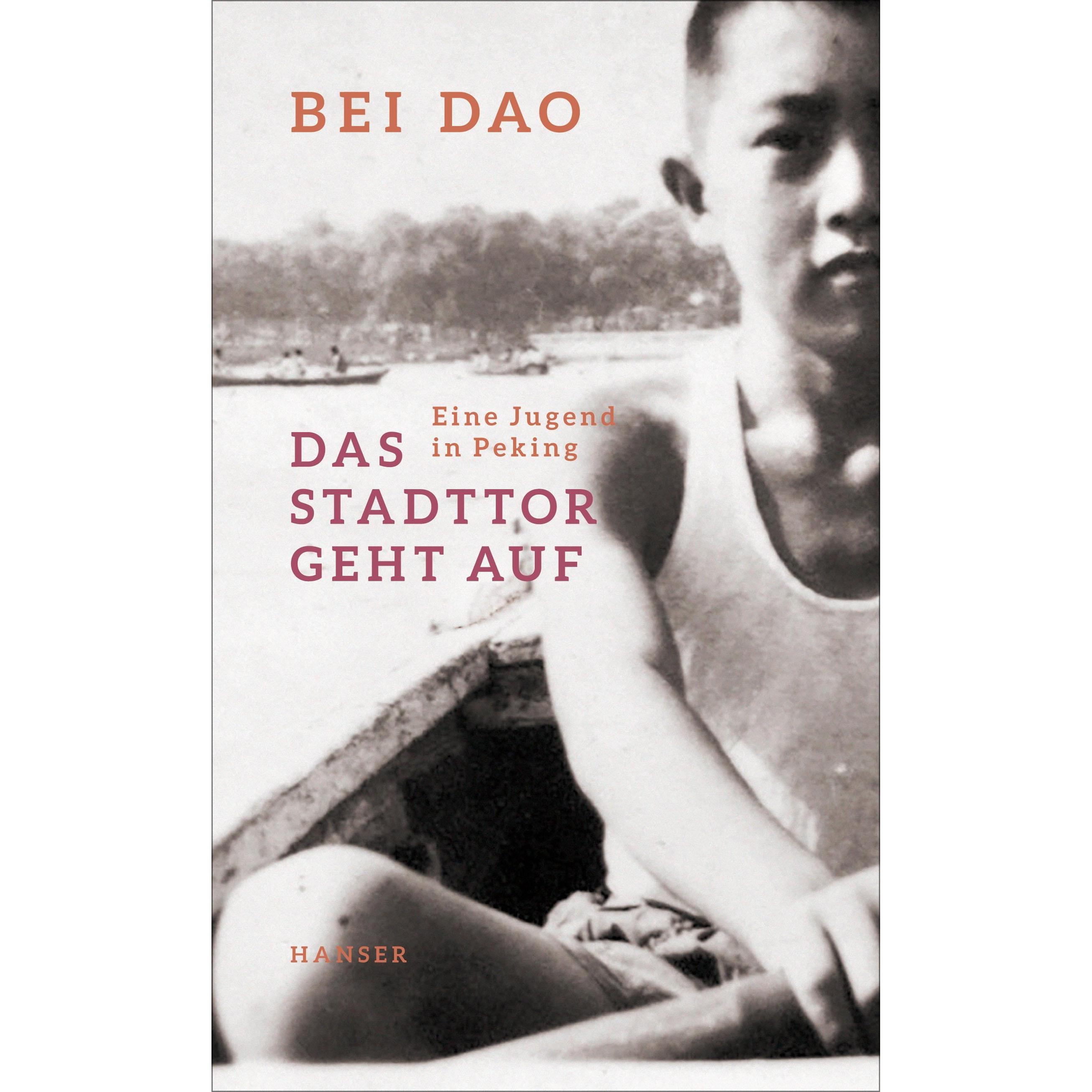 Das Stadttor geht auf, Belletristik von Bei Dao