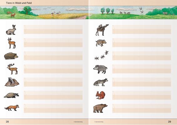 Actual product image Ich kann schreiben Teil 1 und 2 im Set - Schülerarbeitshefte für die 1. Klasse (German, Katrin Langhans, 2022)
