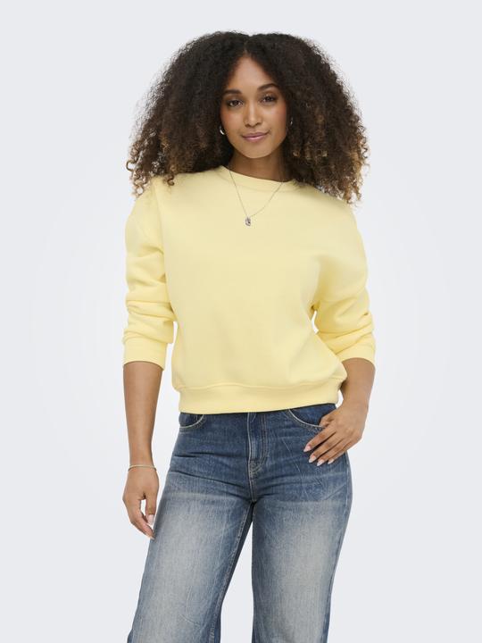 Produktbild Only Onlsweat Life L/S Crew Oversize Swt Noos (M)