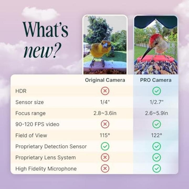 Actual product image Bird Buddy Smart Bird Feeder 2.0