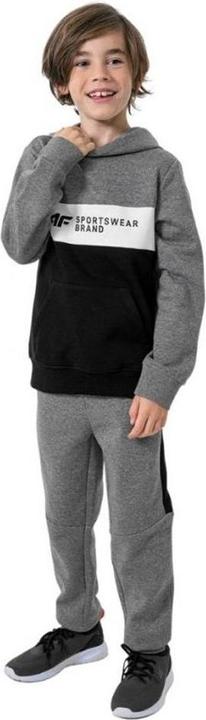 Produktbild 4F HJZ22 JBLM003 46S Kapuzenpullover (134)