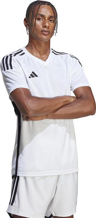 Produktbild adidas Tiro 23 Club Trikot Herren (XS)