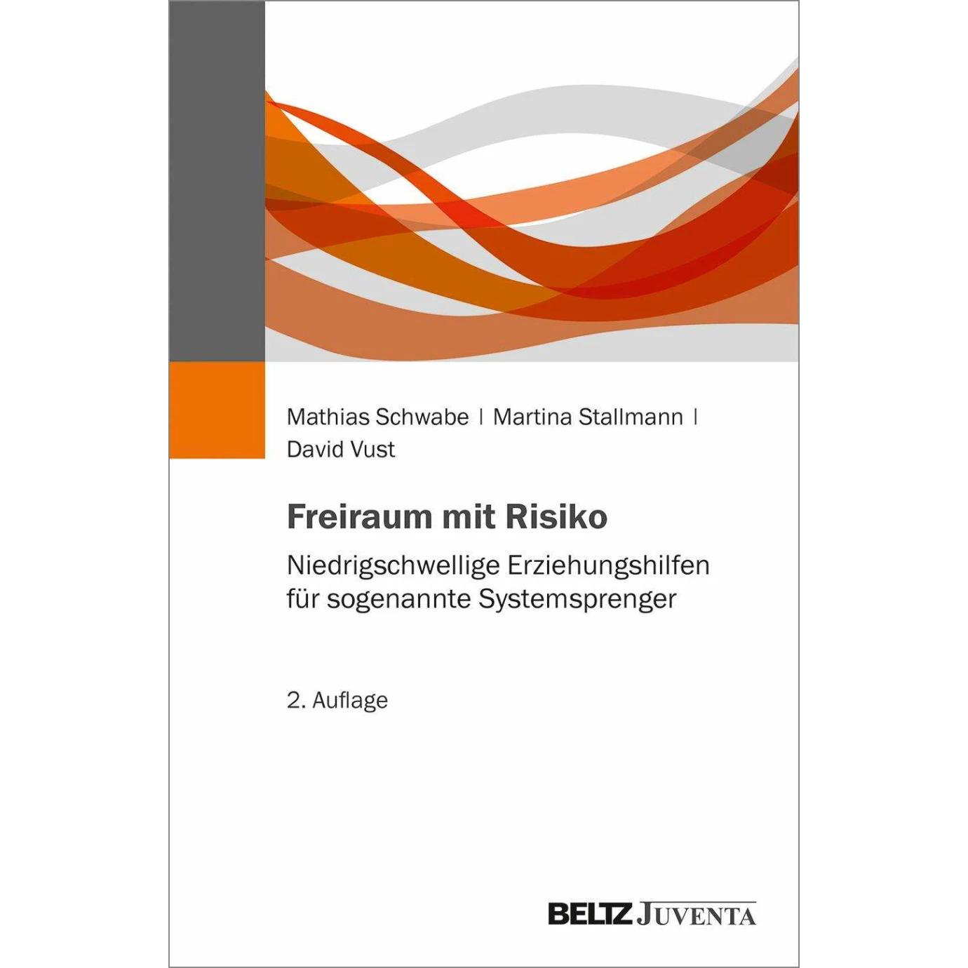 Freiraum mit Risiko, Fachbücher von Mathias Schwabe, David Vust, Martina Stallmann