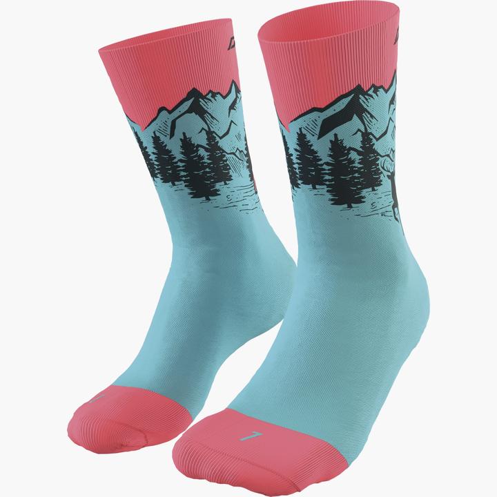 Actual product image Dynafit Stay Fast Socks (43 - 46)