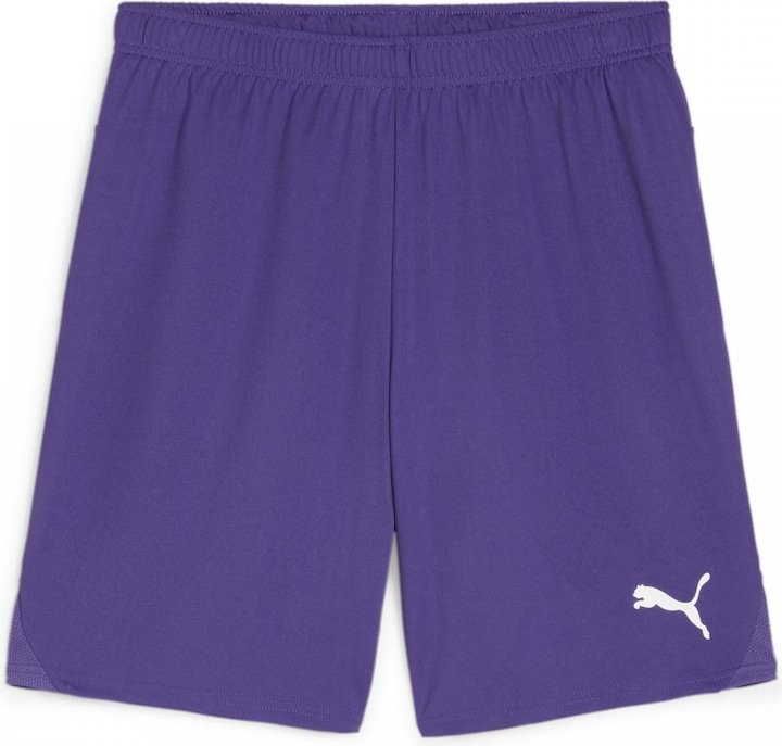 Actual product image Puma teamGOAL shorts (XXL)