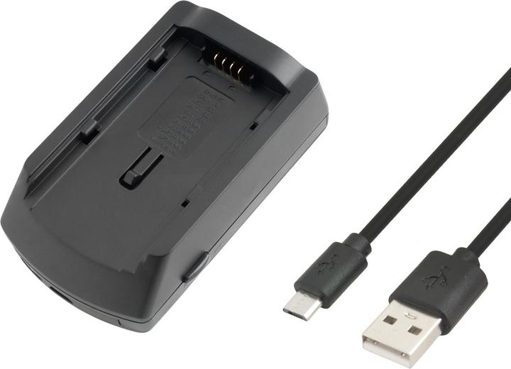 Avacom AVE246 - USB-Ladegerät für Panasonic VW-VBG130 VW-VBG260 VW-VBG6 (Kamera Akku Ladegerät)