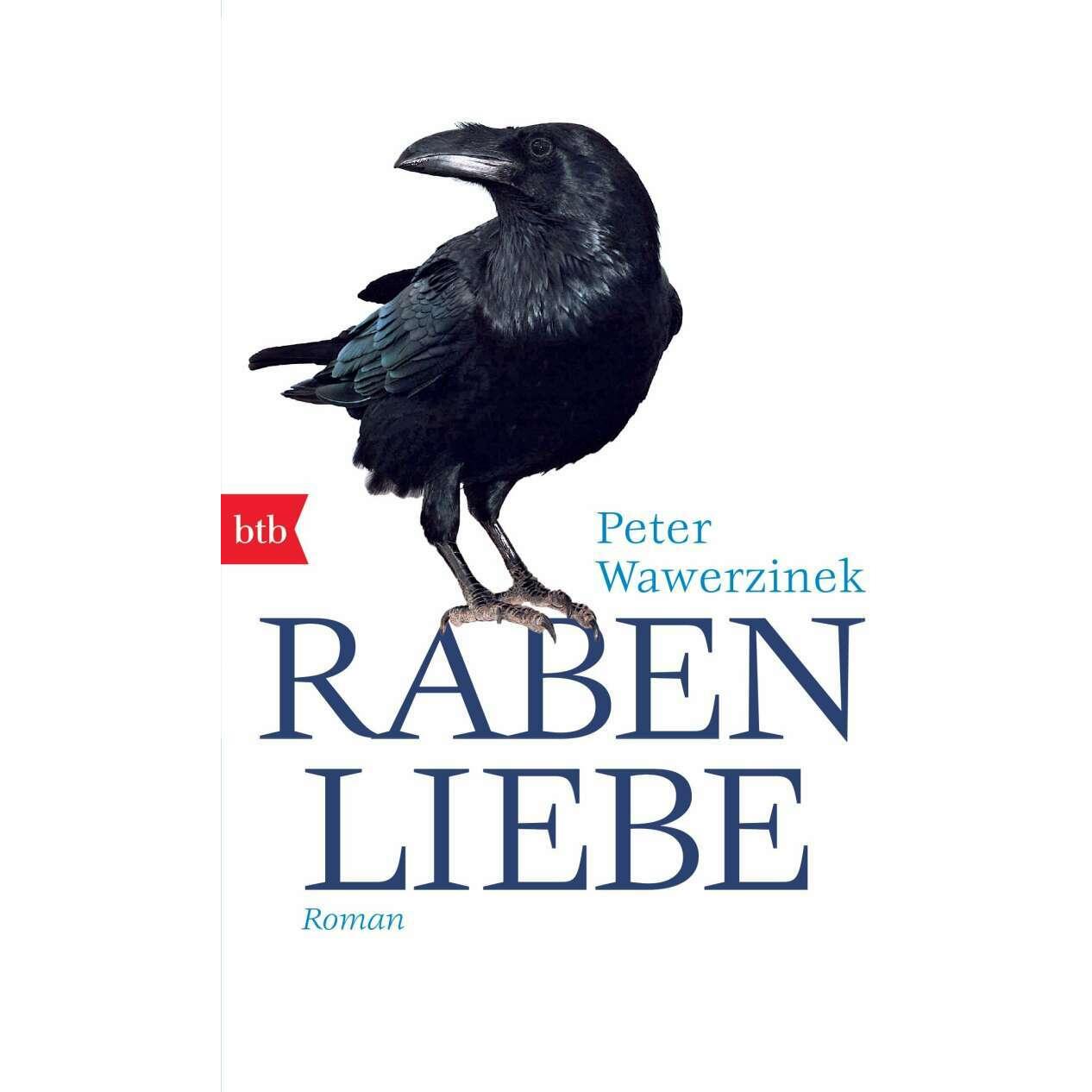 Rabenliebe, Belletristik von Peter Wawerzinek