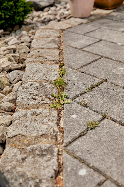 Actual product image Gardena Grout scraper