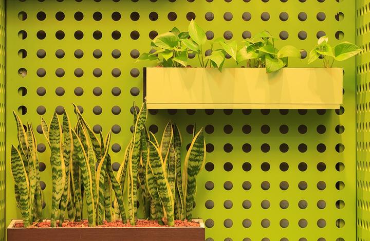 Produktbild Rokinon DS135M-NEX (Sony E, Vollformat)