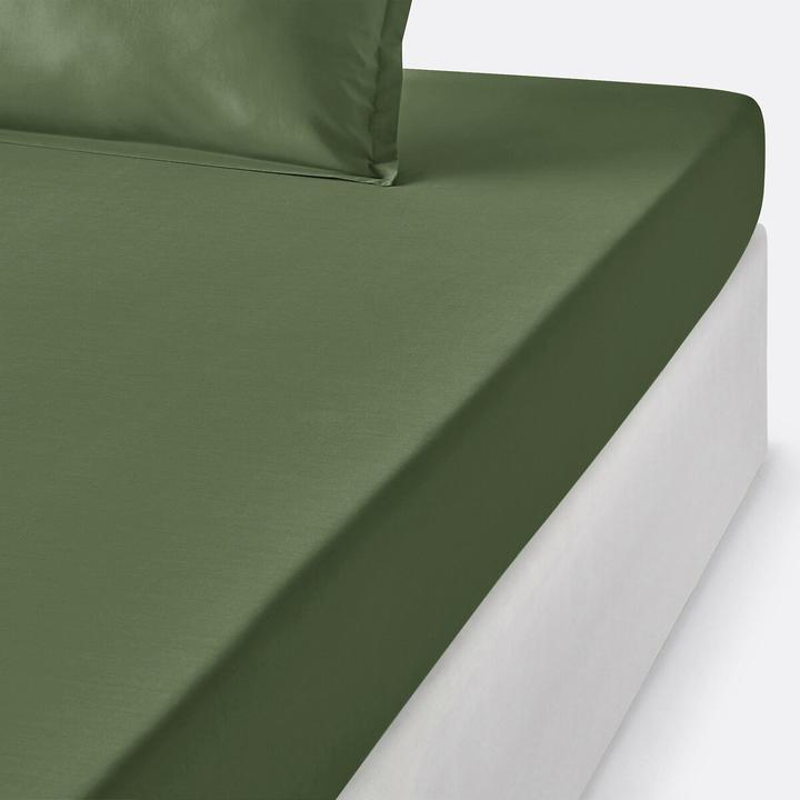 Produktbild La Redoute Interieurs Fixleintuch Scénario für Kinder (90 x 190 cm)