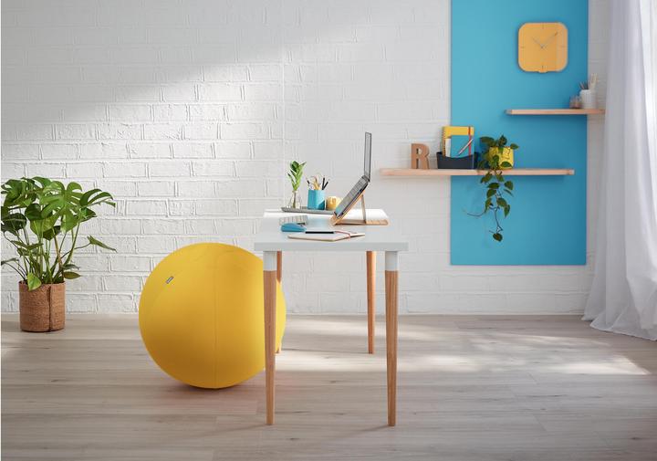 Actual product image Leitz Ergo Cosy Active sitting ball (65 cm)
