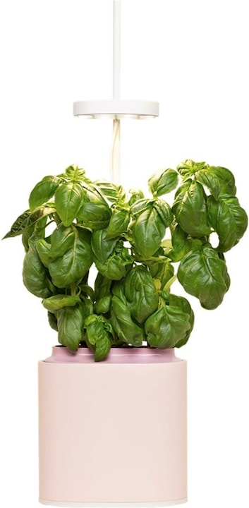 Pot d'herbes aromatiques Nano (13.50 cm)