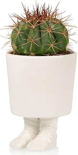 Bitten Gladiator Sandal Planter Large