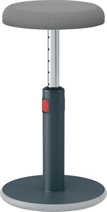 Actual product image Leitz Ergo Cosy Active