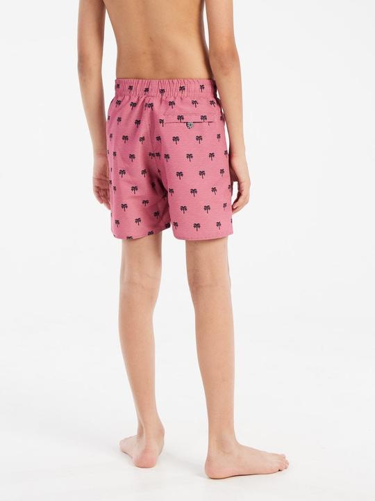 Produktbild Protest Badeshorts PRTSteven (152)