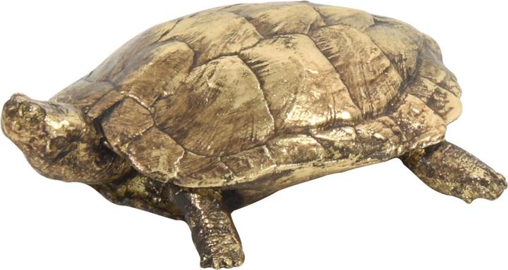 Werner Voss Tartaruga