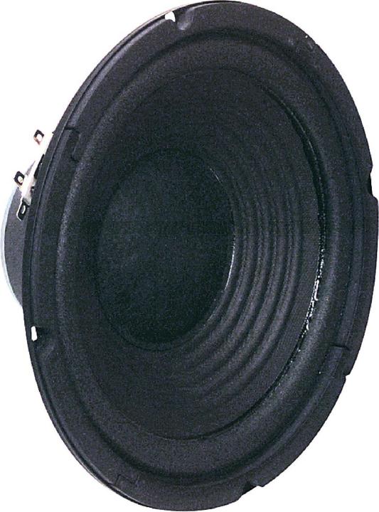 Immagine prodotto Visaton W 200