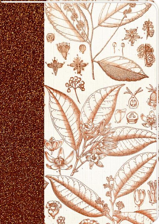 Produktbild Notizhefte DIN A6 Sammlung Augustina (A6)