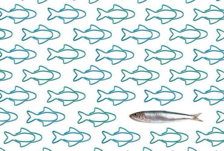 Image du produit Ototo Trombone Sardines