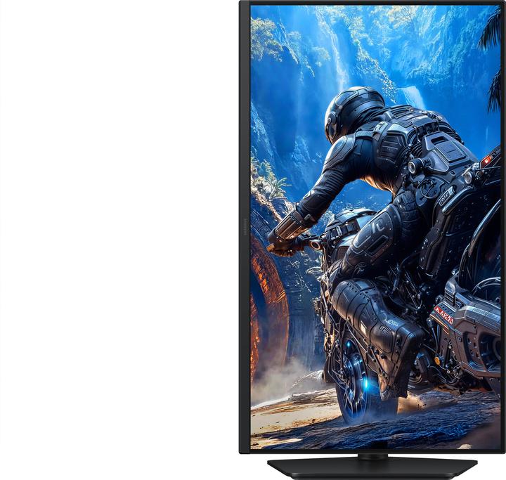 Actual product image Samsung 25" FHD 16:9 300Hz IPS B2C Gaming HDM240 (1920 x 1080 pixels, 25")