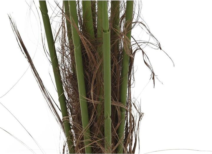 Immagine prodotto DKD Home Decor Dekorationspflanze Palme (100 X 100 X 240 Cm)
