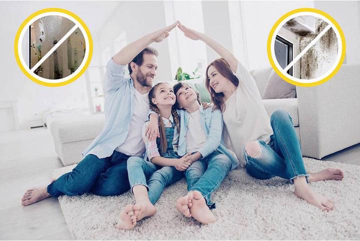 Image du produit Schellenberg Ventilateur de fenêtre