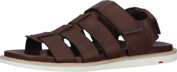 Actual product image Lloyd Elimar (41)