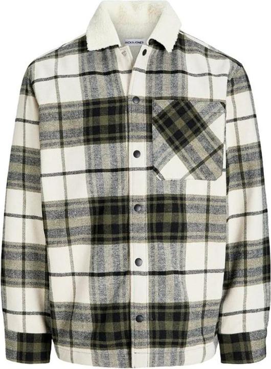 Oliva polverosa, Verde oliva