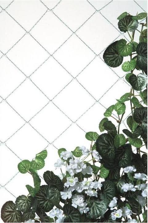 Produktbild Windhager Ranknetz (1000 cm, 200 cm)
