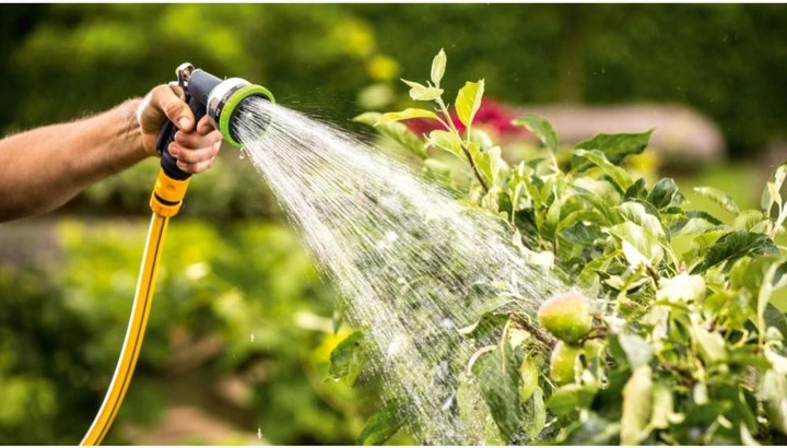 Actual product image Bosch Home & Garden GardenPump 18 (Garden pump)