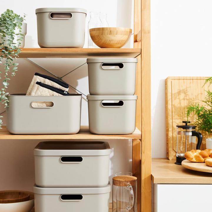 Actual product image Rotho Box12l Albula Cappuccino (12 l)