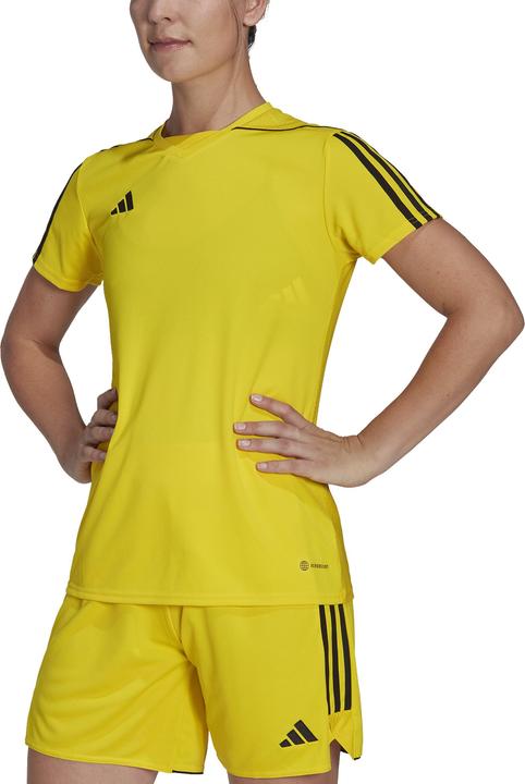 Produktbild adidas Tiro 23 Trikot Damen (L)