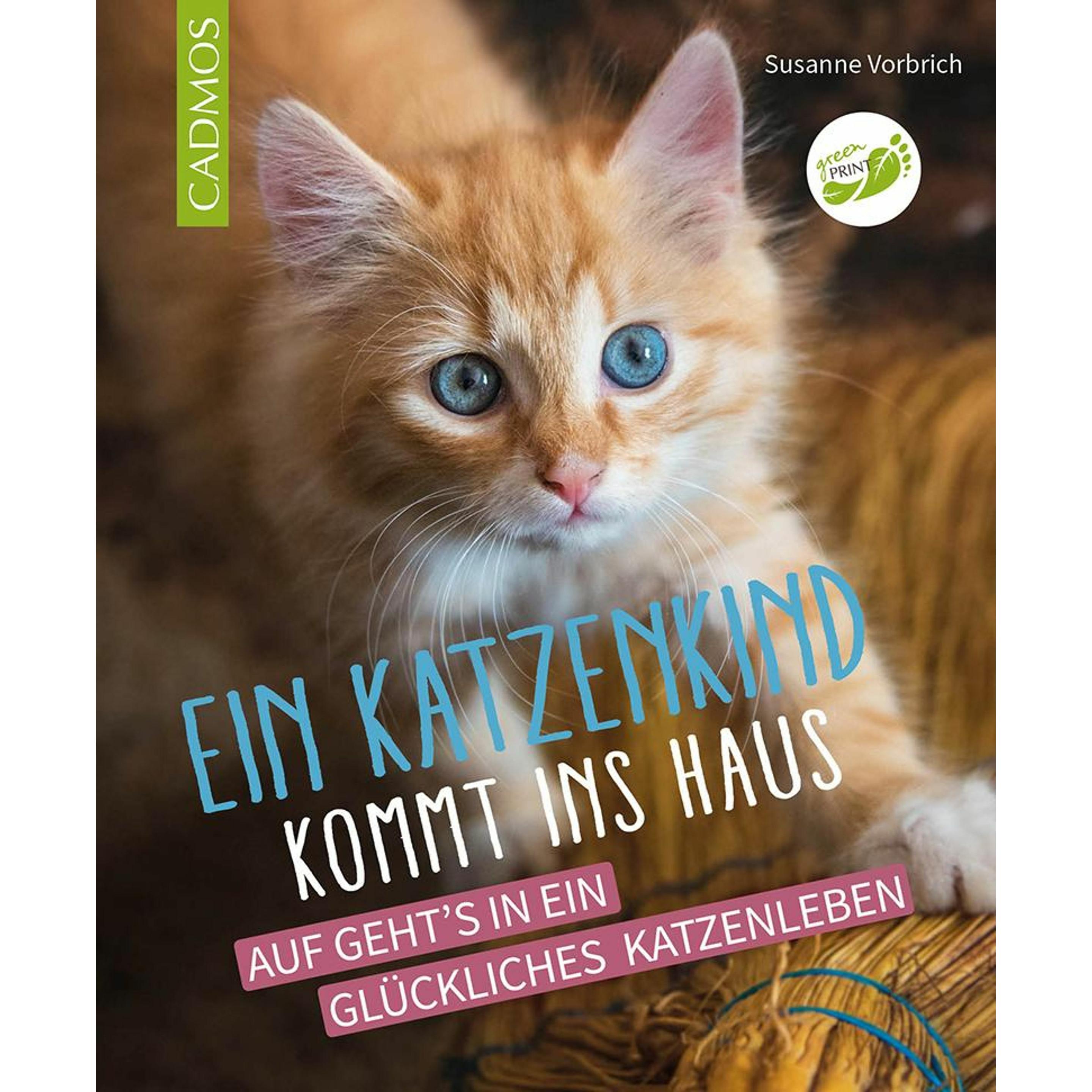 Vorbrich:Ein Katzenkind kommt ins Haus, Ratgeber von Susanne Vorbrich