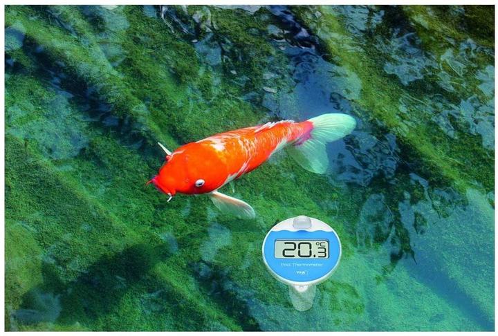 Image du produit TFA Marbella Funk Pool