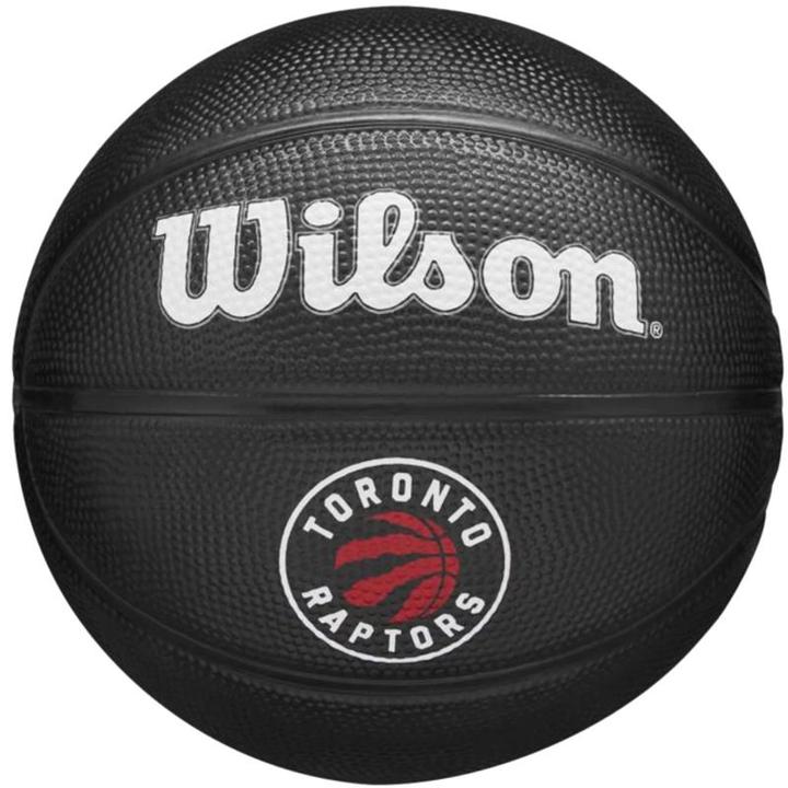 Wilson Nba Team Tribute Mini Goal Raptors (3)