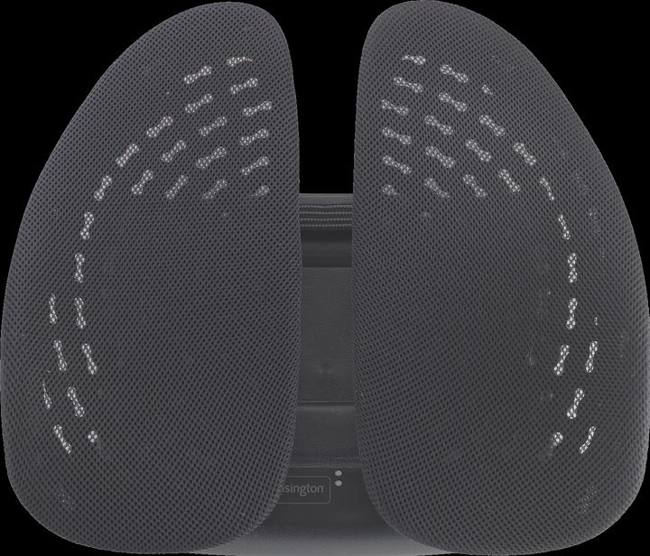 Produktbild Kensington K60412WW SmartFit anpassbare Rückenstütze