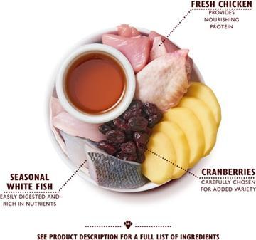 Produktbild Lily's Kitchen Kitten Recipe (Junior, 1 Stk., 800 g)