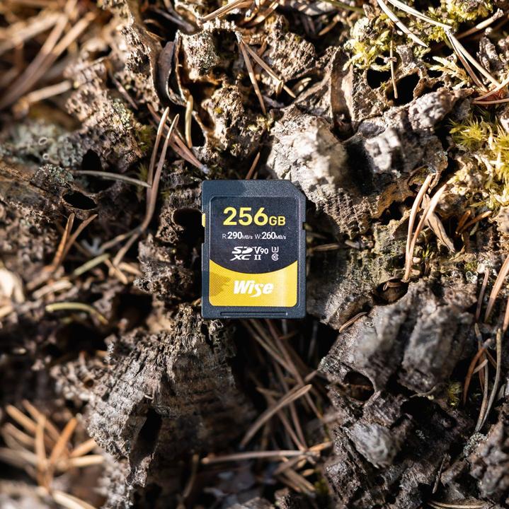 Actual product image Wise SDXC UHS-II V90 256GB (256 GB, SDXC, U3, UHS-II)