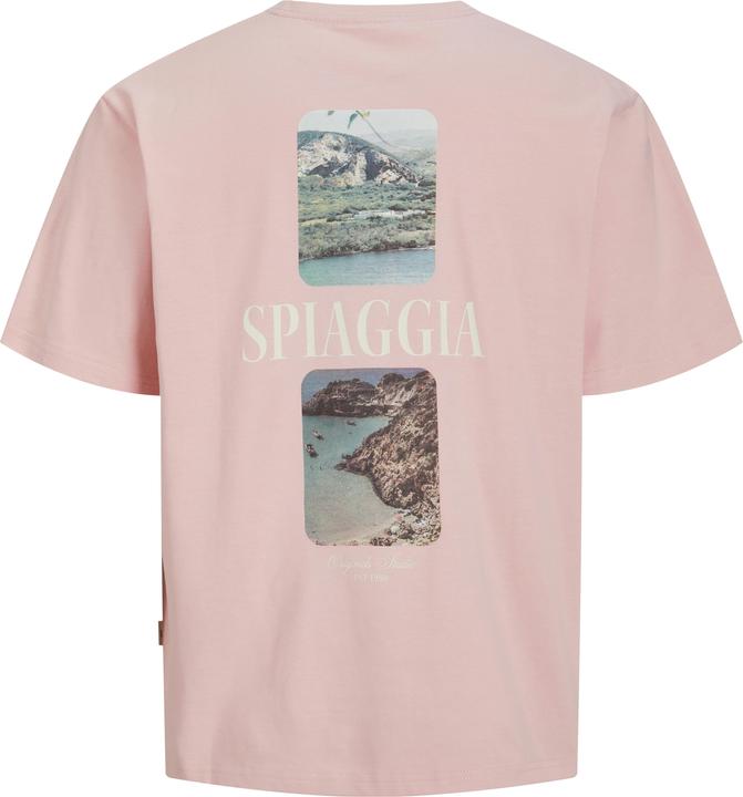 Actual product image Jack & Jones Jorhydra Photo Tee Ss Crew Neck (XXL)