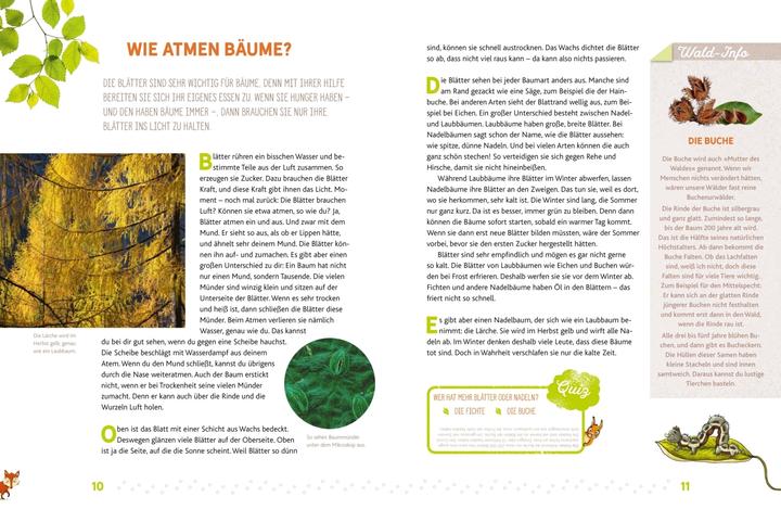 Produktbild Hörst du, wie die Bäume sprechen? Eine kleine Entdeckungsreise durch den Wald (Deutsch, Peter Wohlleben, 2017)