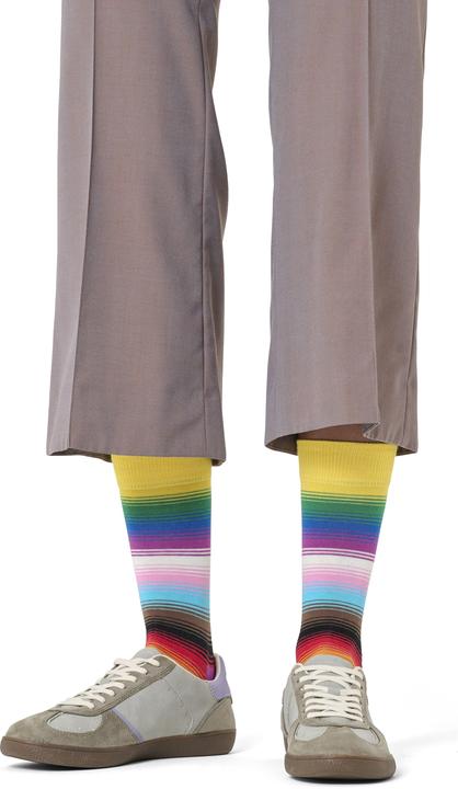 Immagine prodotto Happy Socks Pride Stripe Sock (36 - 40)