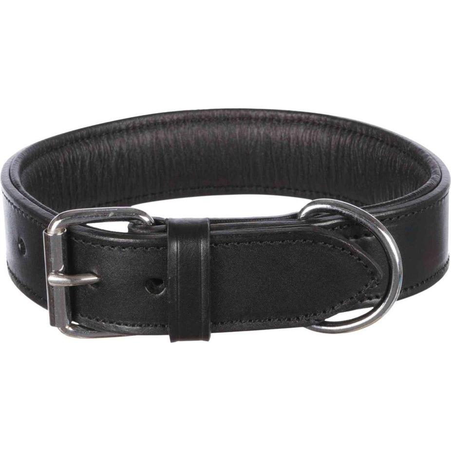 Trixie Active Halsband (L, Hund, Allgemein), Halsband + Leine