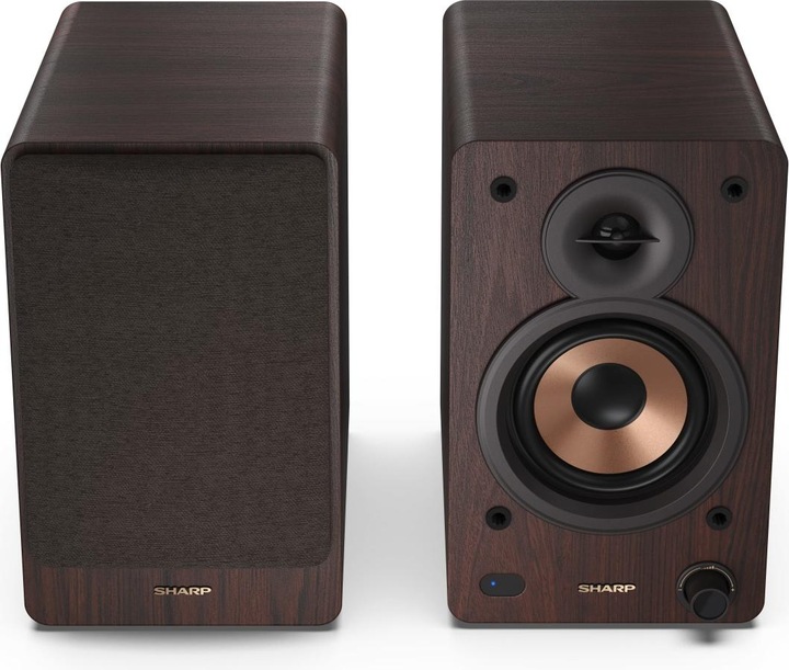 Actual product image Sharp CP-SS30 (1 pair, 60 W)
