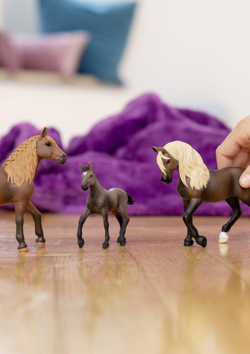 Image du produit Schleich Jument Paso Peruano