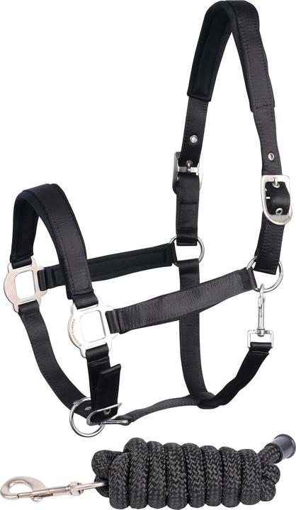 Immagine prodotto Harry's Horse Set di cavezze per cavalli in raso